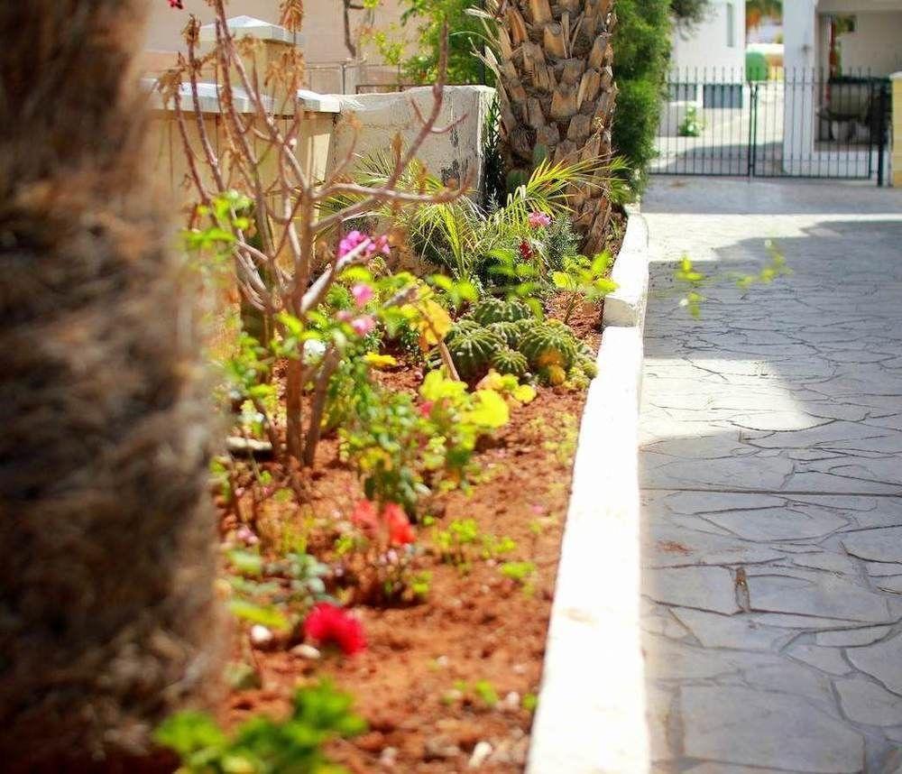 Maria Zintili Apartments Ayia Napa Eksteriør billede